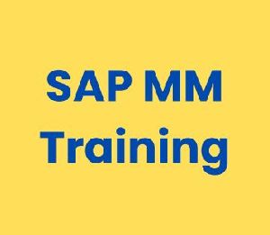 Sap Training Service