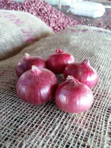 Onions