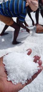 White Salt White Salt