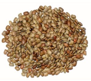Organic Horse Gram