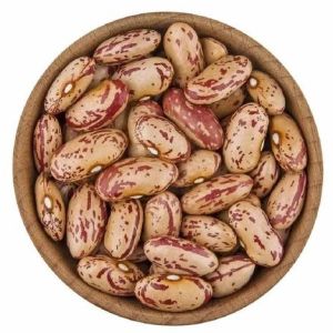 Organic Rajma Chitra