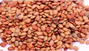 Organic Split Horse Gram