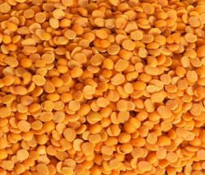 Organic Toor Dal
