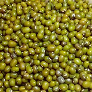 Organic Whole Green Moong