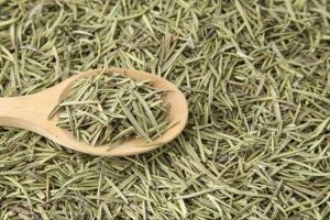 Sea Buckthorn Dry Leave