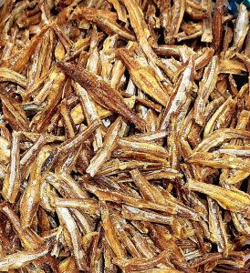 Dry Anchovies Fish