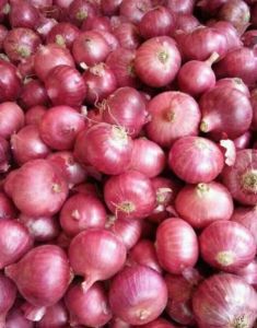 Fresh Red Onion