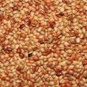 Horse Gram Horse Gram