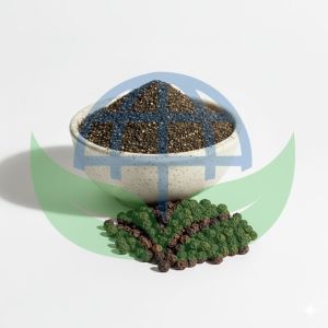 Black Pepper Powder Black Pepper Powder