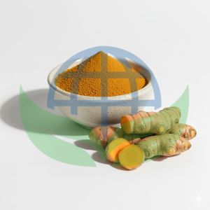 HP Valia Global Turmeric Powder, Color : Bright Golden Yellow