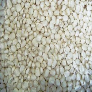 A Grade White Maize Seed