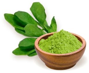 Dehydrated Spinach Powder