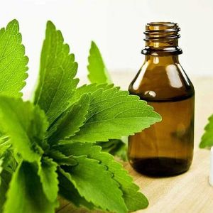 Liquid Stevia Extract