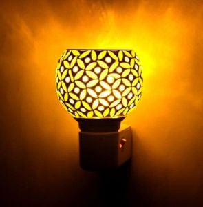 Electric Kapoor Dani