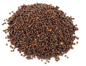 Natural Mustard Seeds
