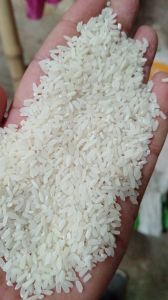 White Short Grain Raw Rice for Cooking, Food, Human Consumption