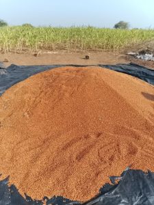 Red Tur Arhar, Weight : 2000