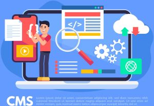 Custom Web Application Development Services