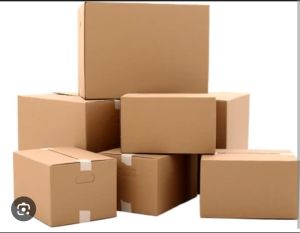 Cardboard Cartons