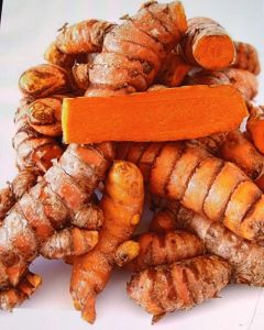 Fresh Turmeric