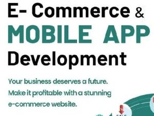 Ecommerce Development