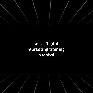 Best Digital Marketing Training in Mohali