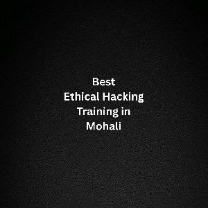 Best Ethical Hacking training in Mohali