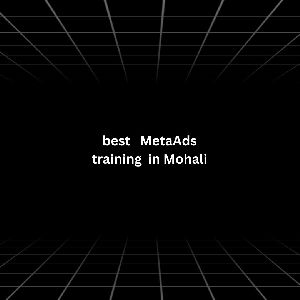 best Meta ADS training in Mohali