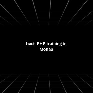 Best PHP training in Mohali
