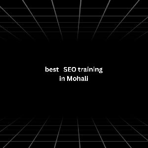 Best SEO training in Mohali