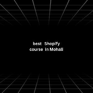 Best Shopify course in Mohali