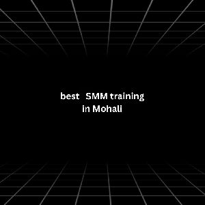 Best SMM training in Mohali