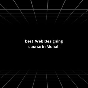 Best Web Designing course in Mohali