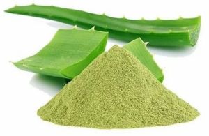 Aloe Vera Extract Powder