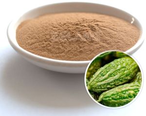 Bitter Melon Extract Powder