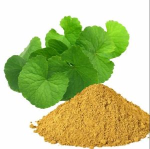 Brahmi Leaf Extract Powder