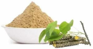 Giloy Stem Extract Powder