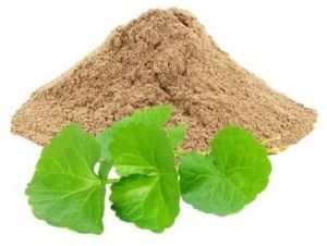 Gotu Kola Extract Powder