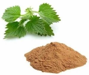 Nettle Root Extract Powder