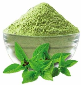 Tulsi Leaf Powder