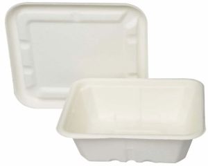 Bagasse Container