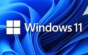 Window Installation Service