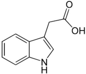 Indole-3-Acetic Acid, Packaging Type : Bag, Purity : High Purity