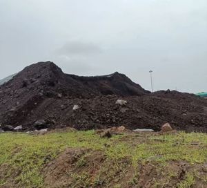 Bhavnagar Lignite Coal