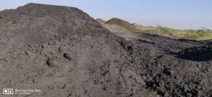 Non Coking Steam Coal Dust