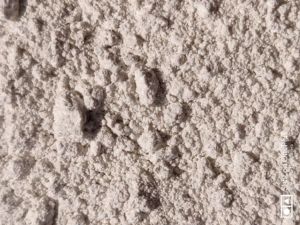 POP Gypsum Plaster Powder