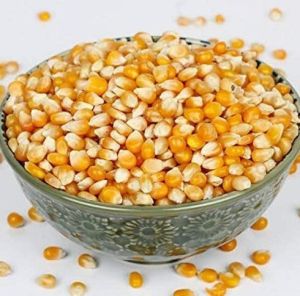 Dried Cleaned Yellow Maize, Packaging Type : PP Bag 99%