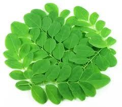 Organic Moringa Leaves, Purity : 100 Percent