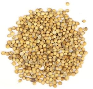 Light Brown Premium Coriander Seeds, Packaging Type : PP Bags Low