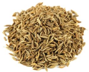 Brown Superior Cumin Seeds, Packaging Type : PP Bags Low